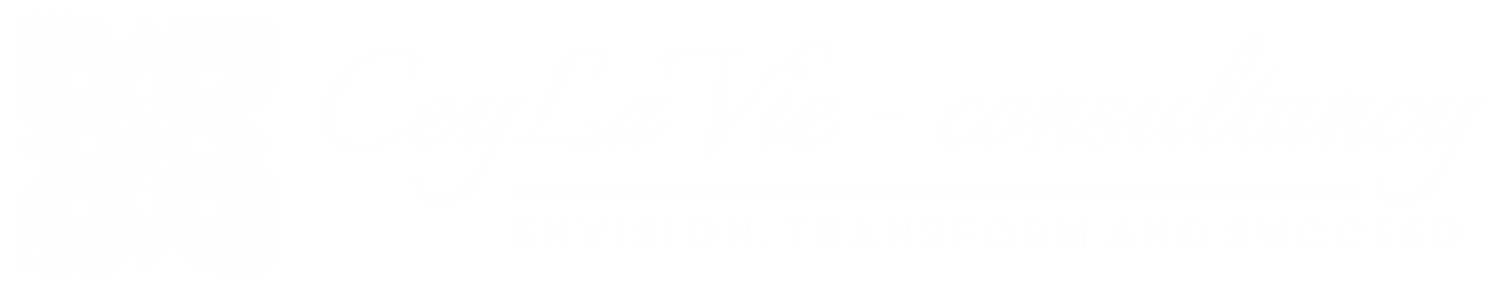 Ceylavie Consultancy logo